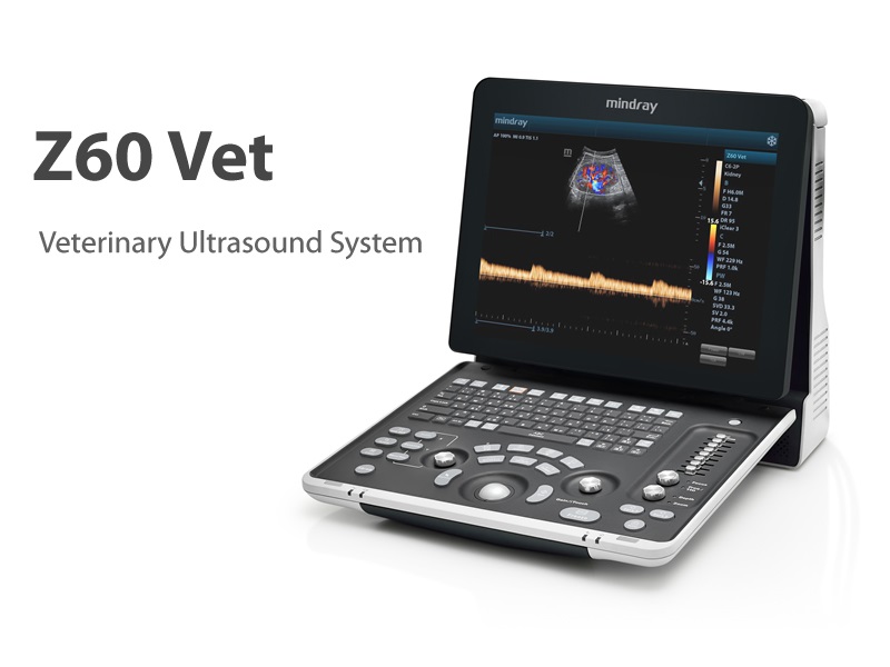 Dormed Hellas Mindray Z60