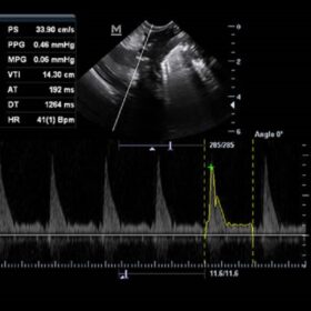 Dormed Hellas Z60 - Turtle Cardiac PW VET
