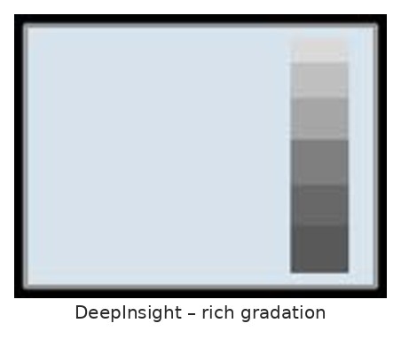 DeepInsight: πλούσια διαβάθμιση και μείωση θορύβου